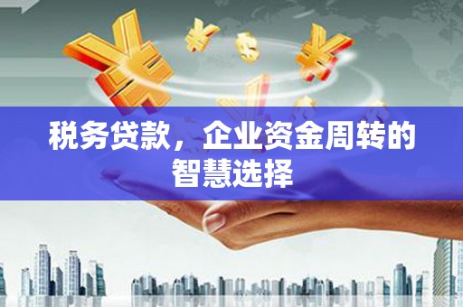 古城税务贷款，企业资金周转的智慧选择