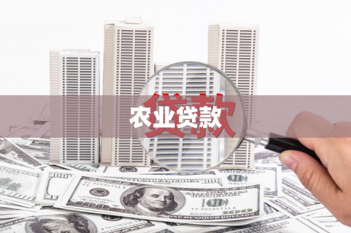 古城农业贷款