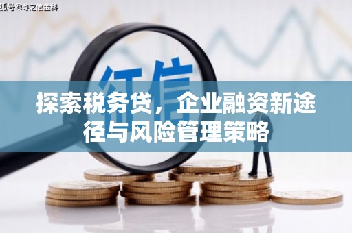 古城探索税务贷，企业融资新途径与风险管理策略