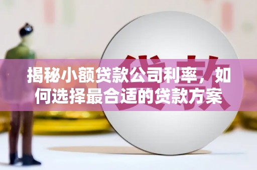 古城揭秘小额贷款公司利率，如何选择最合适的贷款方案