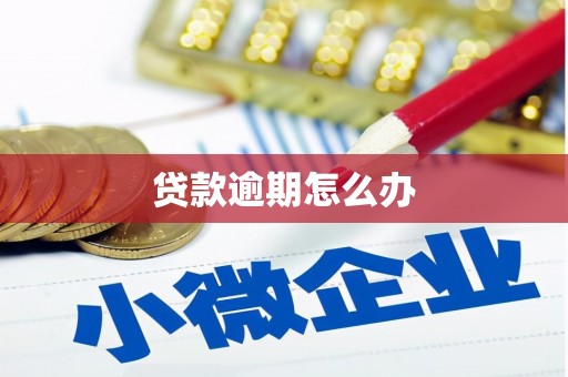 古城贷款逾期怎么办