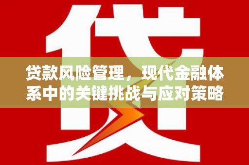 古城贷款风险管理，现代金融体系中的关键挑战与应对策略